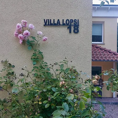 Little Lopsi Detmold