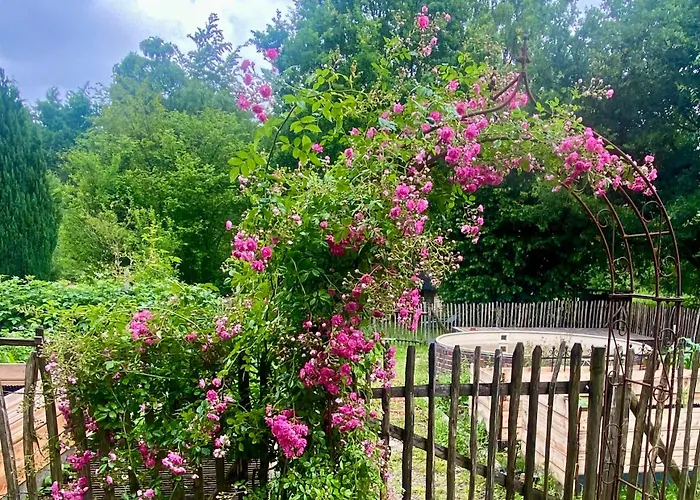 Little Lopsi شقة *