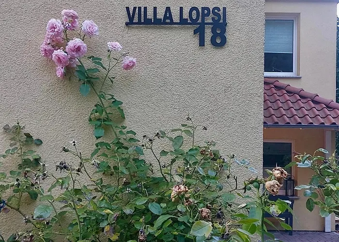 Little Lopsi ديتمولد